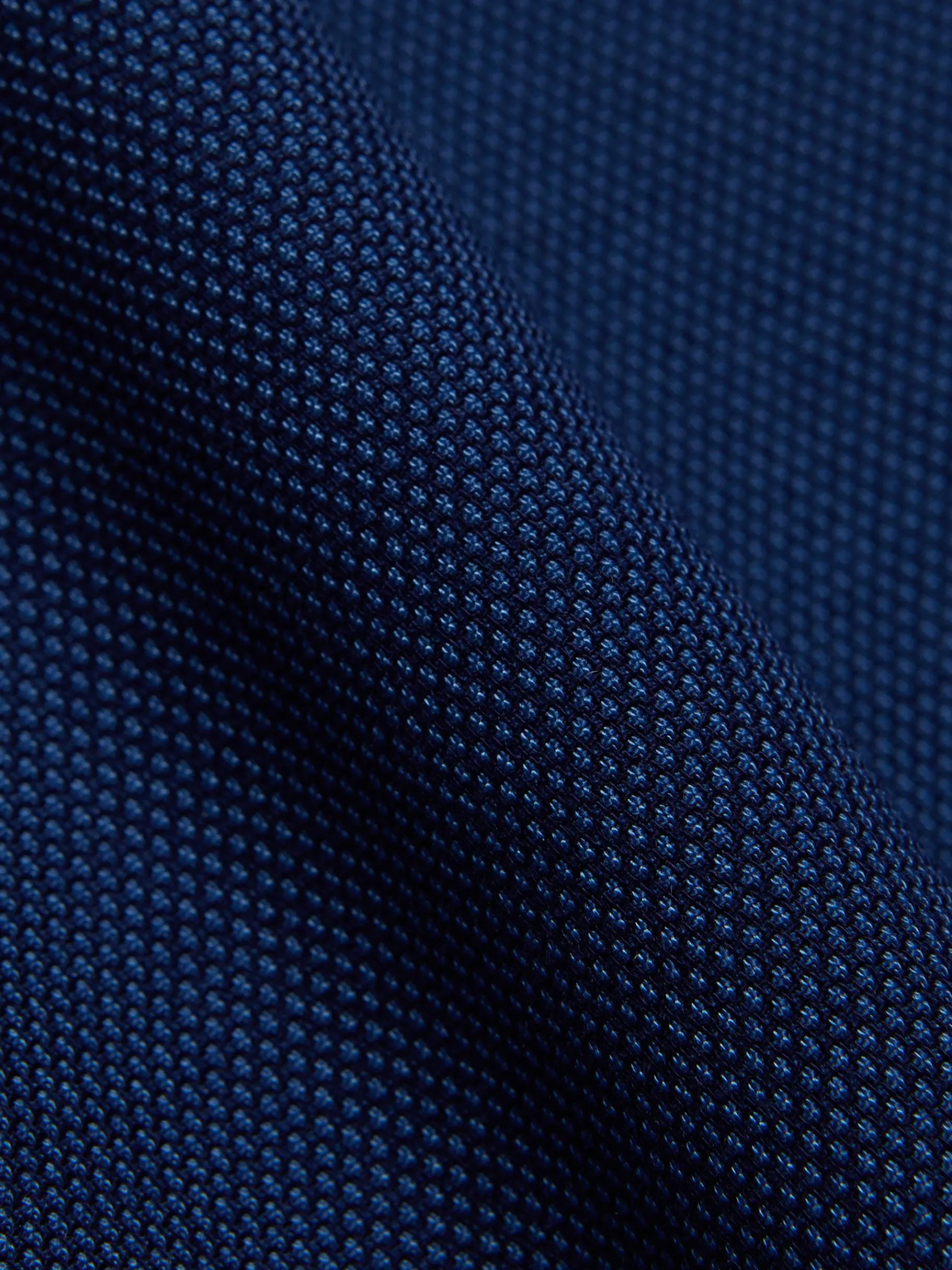 Alvaro Moreno Trajes|Trajes|AMERICANA BIRDEYE Azul