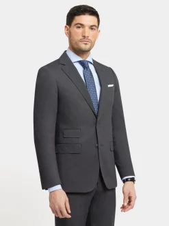 Alvaro Moreno Trajes|Trajes|AMERICANA BIRDEYE Gris