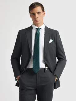 Alvaro Moreno Trajes|Trajes|AMERICANA BIRDEYE Gris