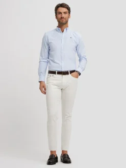 Alvaro Moreno Oxford|CAMISA OXFORD RAYAS BASIC Celeste