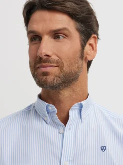 Alvaro Moreno Oxford|CAMISA OXFORD RAYAS BASIC Celeste