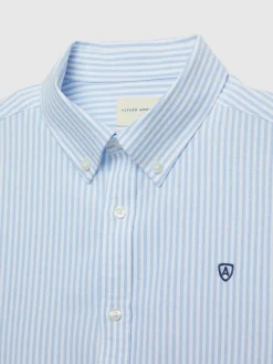 Alvaro Moreno Oxford|CAMISA OXFORD RAYAS BASIC Celeste
