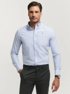Alvaro Moreno Oxford|CAMISA OXFORD RAYAS Celeste