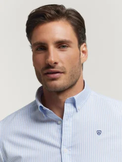 Alvaro Moreno Oxford|CAMISA OXFORD RAYAS Celeste