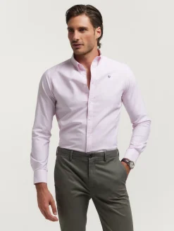 Alvaro Moreno Oxford|CAMISA OXFORD RAYAS Rosa