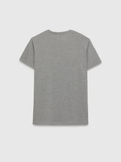 Alvaro Moreno Camisetas|CAMISETA BASICA Gris