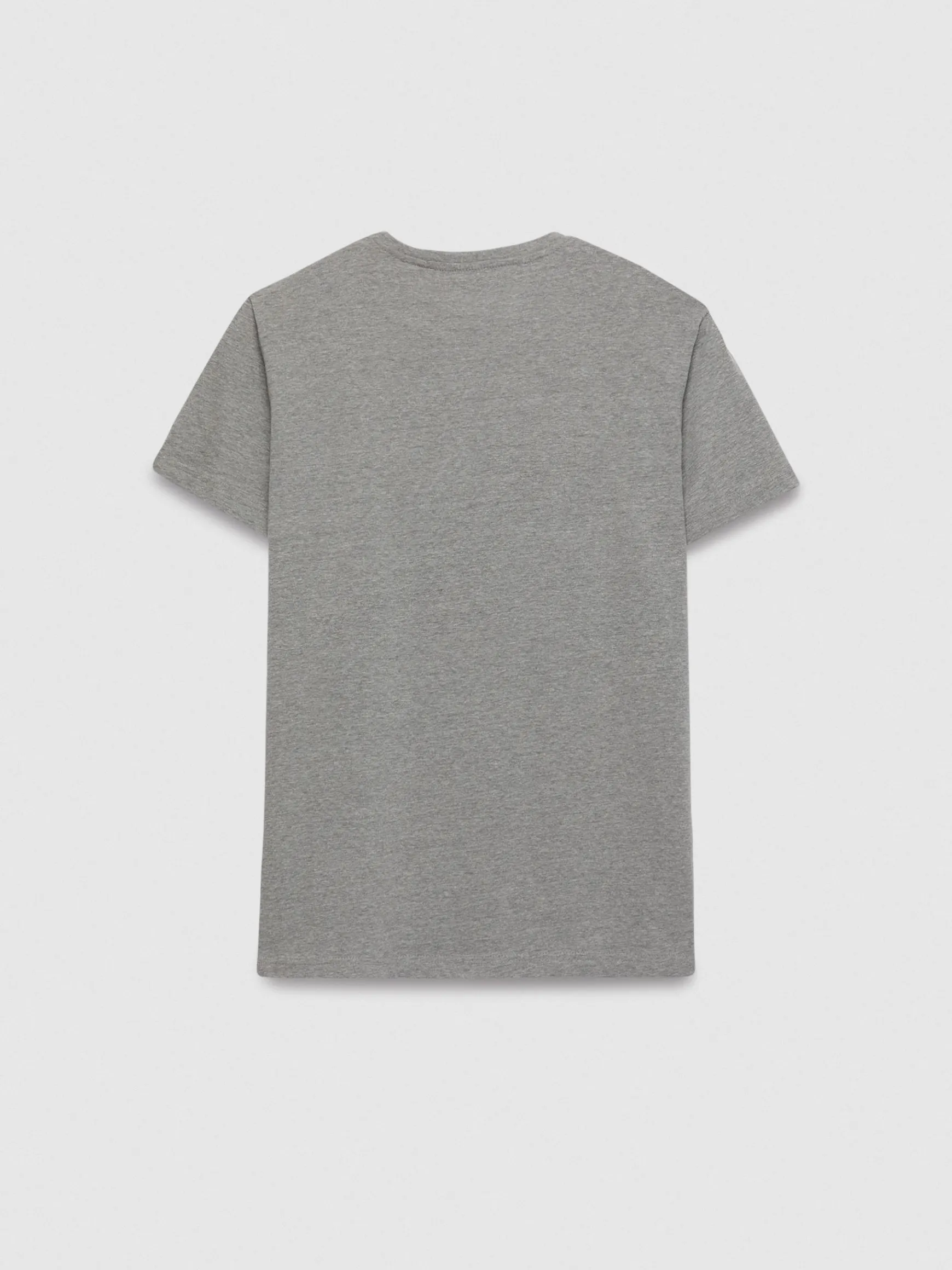 Alvaro Moreno Camisetas|CAMISETA BASICA Gris