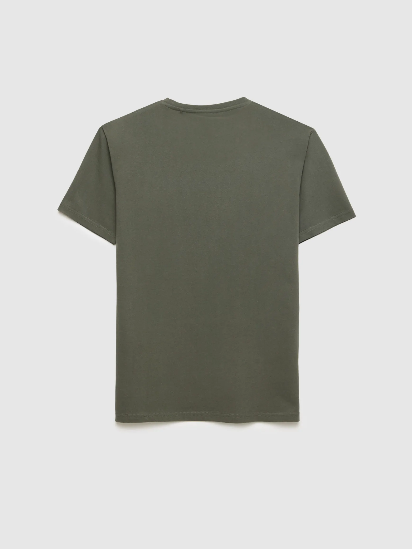 Alvaro Moreno Camisetas|CAMISETA SKATEBOARD Verde