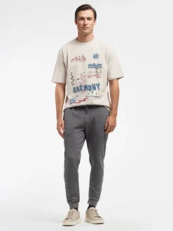 Alvaro Moreno Casual|JOGGER BASIC Gris