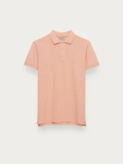 Alvaro Moreno Polos Y Poleras|POLO SCOOBY SALMÓN Salmón