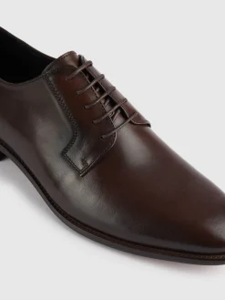 Alvaro Moreno Vestir|ZAPATO OXFORD MARRÓN Marrón
